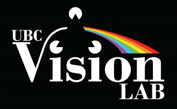 vision_logo