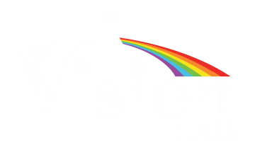 vision_logo_transparent